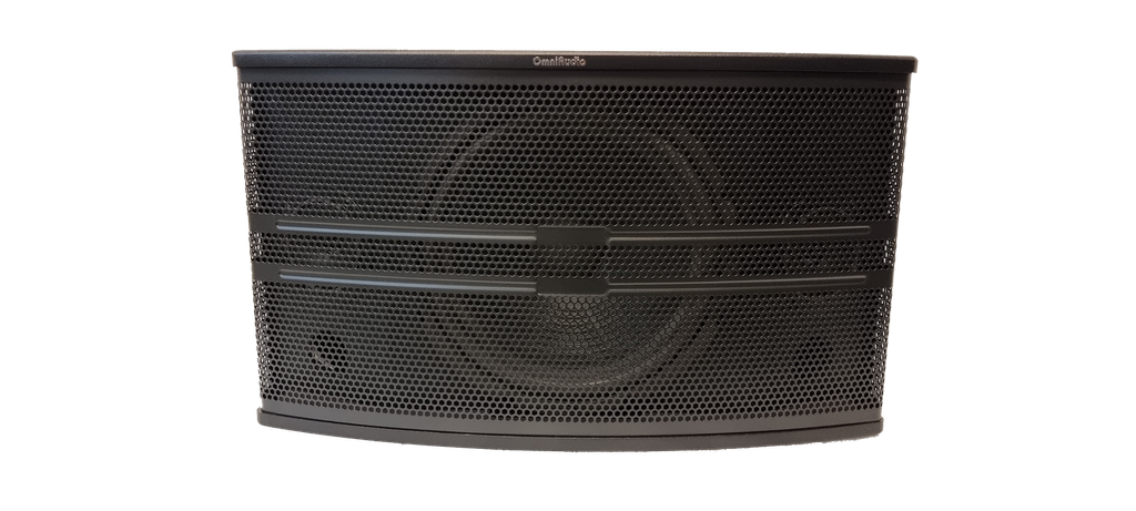 OmniAudio 10" 2-Way Karaoke Speaker (1 Pair)